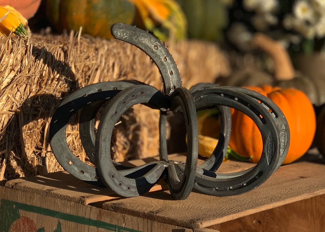 Horseshoe Pumpkin